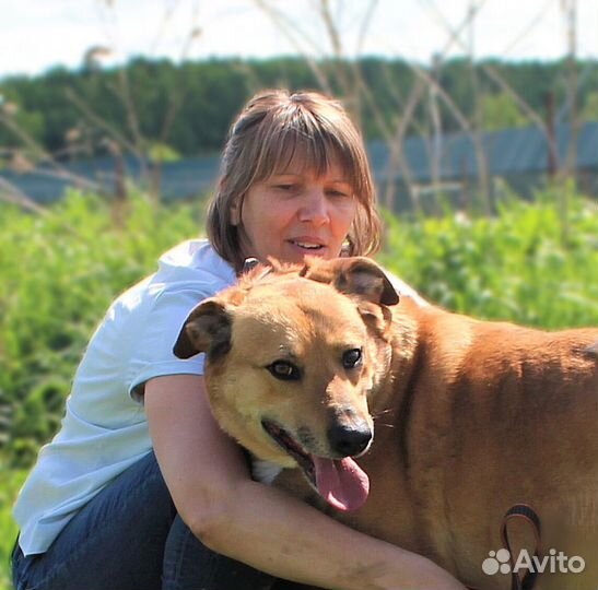 Флиппер из приюта ждет свою семью