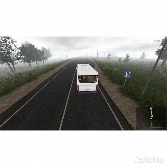 Bus Driver Simulator: Countryside PS4, русские суб