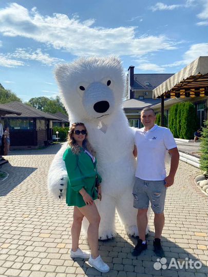 Панда/Чебурашка