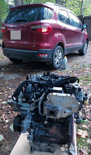 Двигатель Ford Ecosport 1.0 USA
