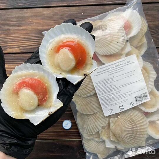 Морской гребешок