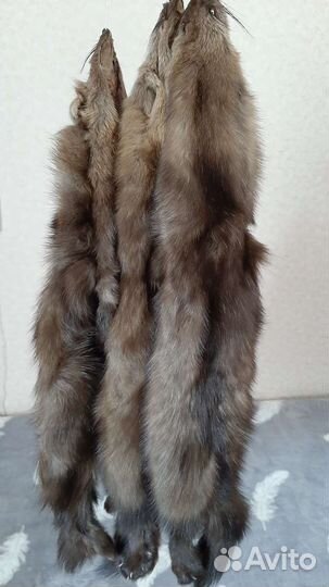 Шкурки якутского соболя