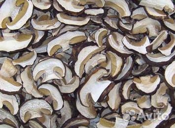 Белый гриб оптом от заготовителя