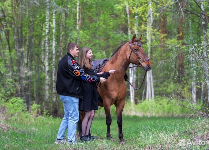 Катание на лошадях, пони на праздник