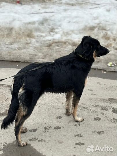 Супер умная девочка