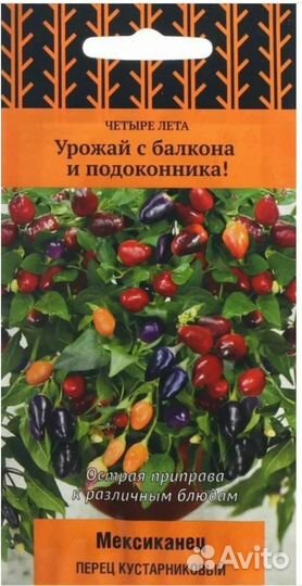 Рассада горького перца