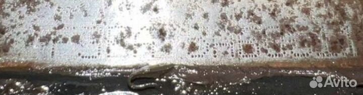 Двигатель F3FA Ford Transit (2000-2006)