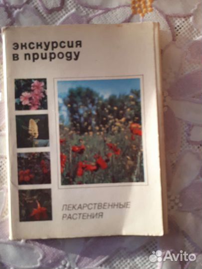 Набор открыток Лекарственные растения