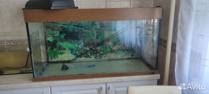 Аквариум