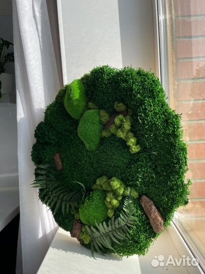 Картина из стабилизированного мха