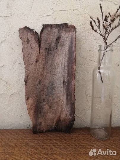 Кусок коры пятнистый