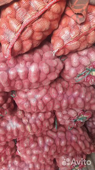 Картофель крупный желтых сортов