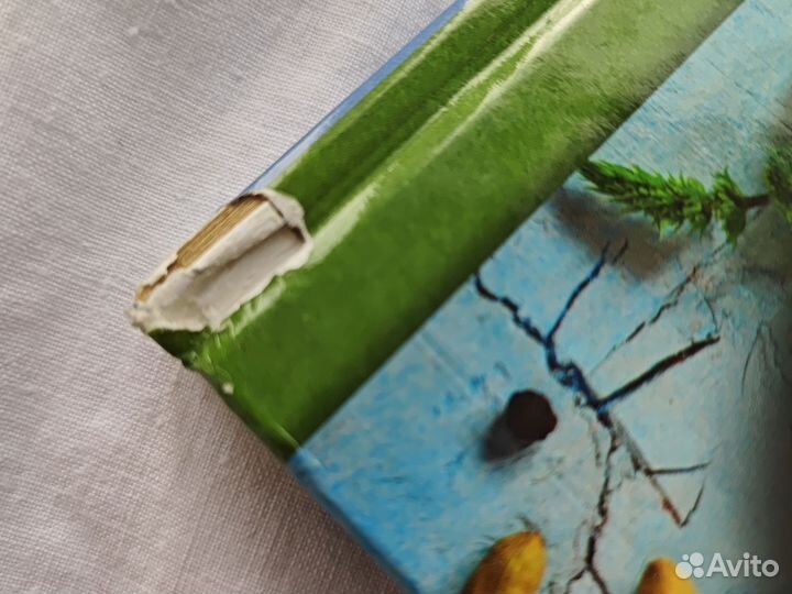 Кулинарная книга 50 блюд за двадцать минут