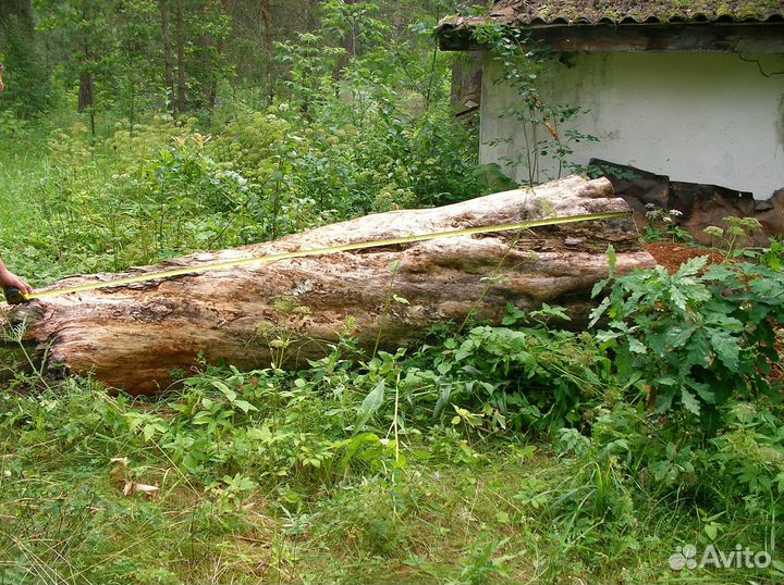 Колода для пчел бревно для колоды