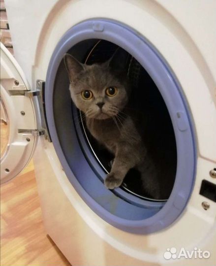 Ремонт стиральных машин