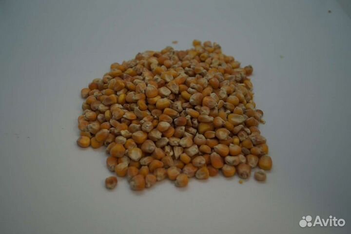 Комбикорм для кур,пшеница