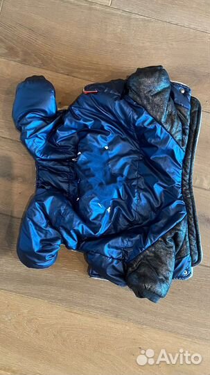 Комбинезон на собаку