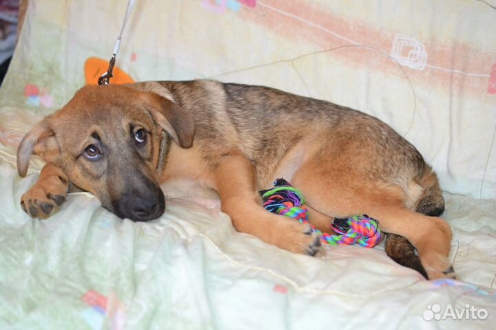 Очаровательная Ника ждет свою семью