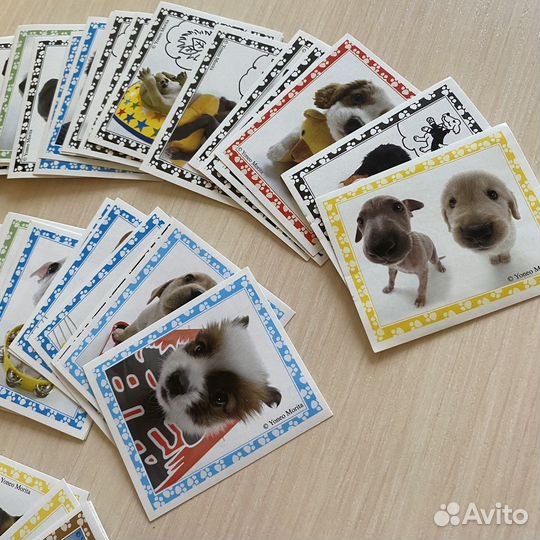 Наклейки Panini милые песики