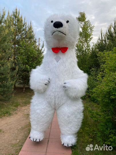 Белый мишка поздравление