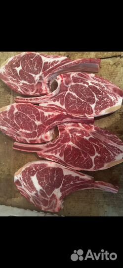 Мясо говядина халяль