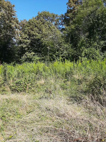 Участок 6 сот. (ИЖС)