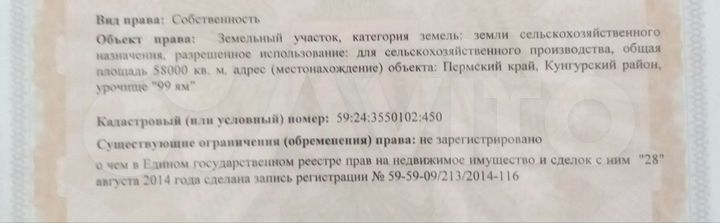 Участок 5,8 га (СНТ, ДНП)