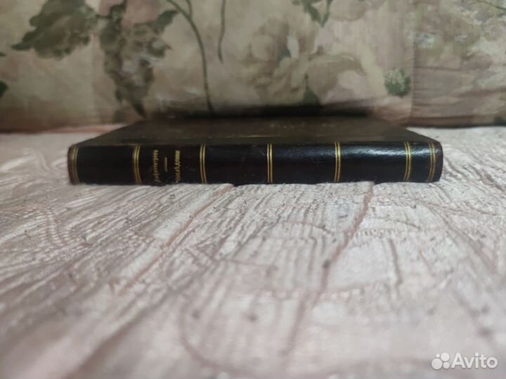 Паутина.А.Амфитеатров.1912г