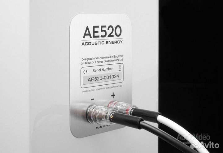 Напольная акустика Acoustic Energy AE 520