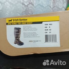 Irish setter king toe sale