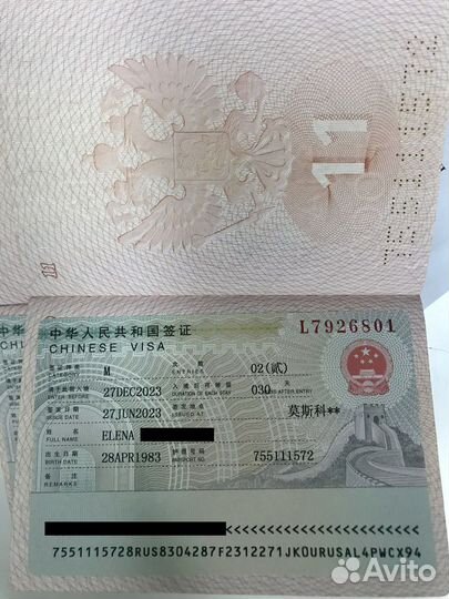 Китайский визовый центр