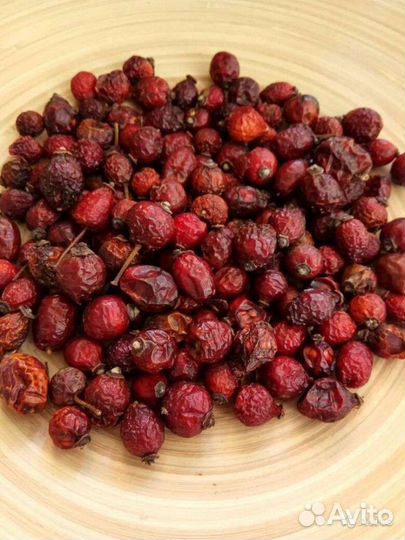 Шиповник сушеный