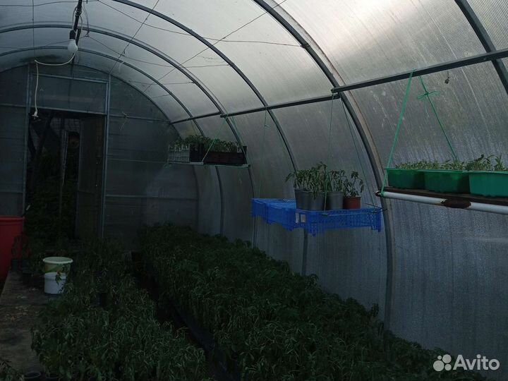 Теплица 3 на 6 из поликарбоната