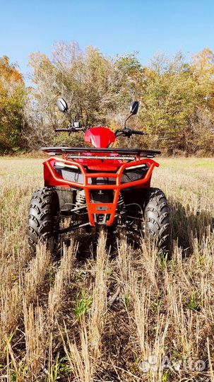 Квадроцикл irbis ATV250 (Sharmax luxe 300)