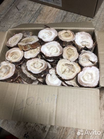 Спилы можжевельника