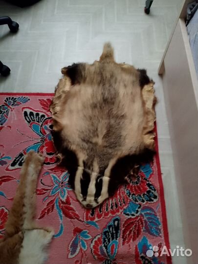 Шкура енота и лисы