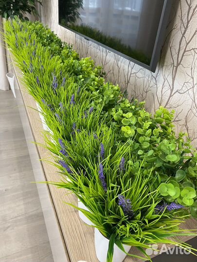 Искусственные растения как в IKEA