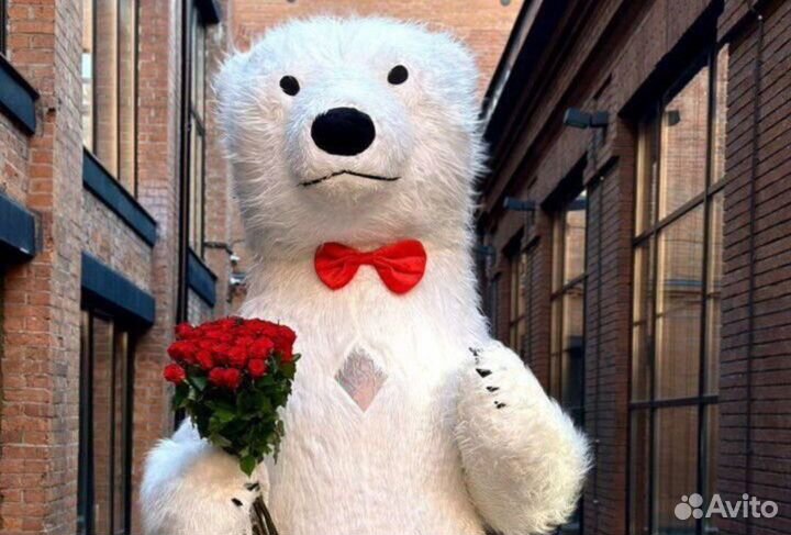 Белый медведь, Поздравление от белого медведя