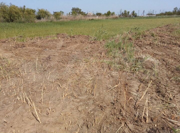 Участок 1,05 га (ИЖС)