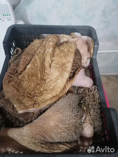 Рубец говяжий