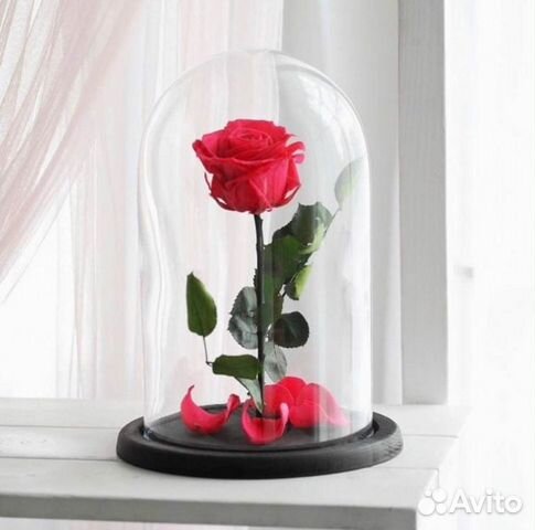 Роза в колбе. От производителя