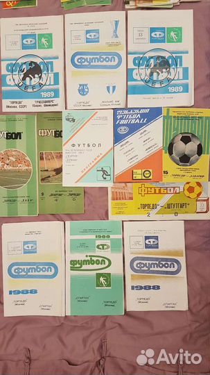 Торпедо москва Футбольные программы