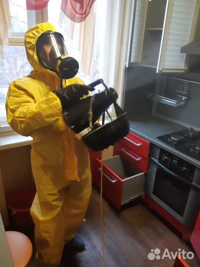 Дезинфекция