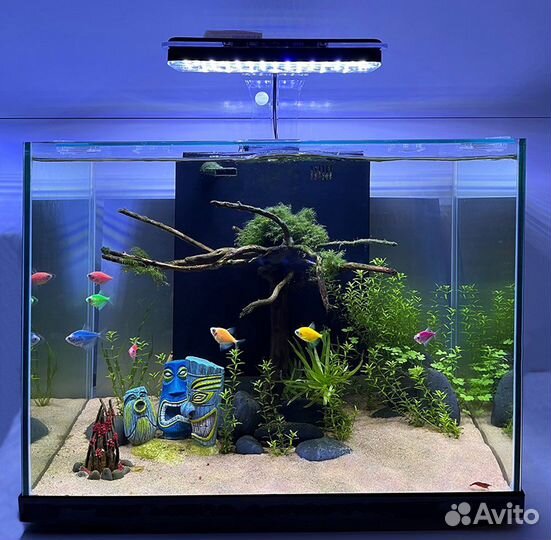 Обслуживание аквариума