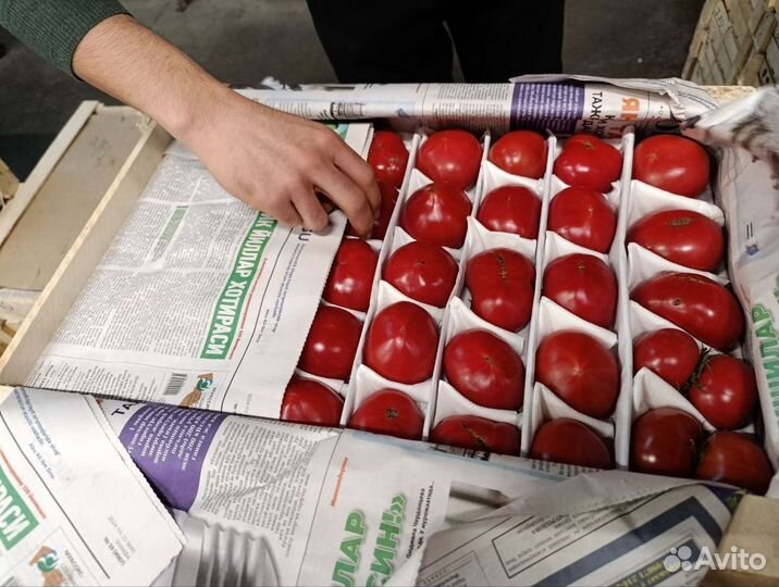 Помидоры свежие