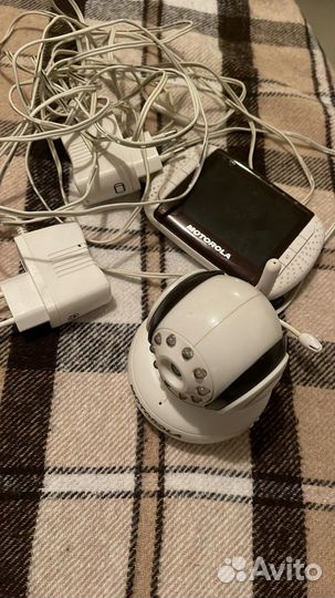 Видеоняня motorola