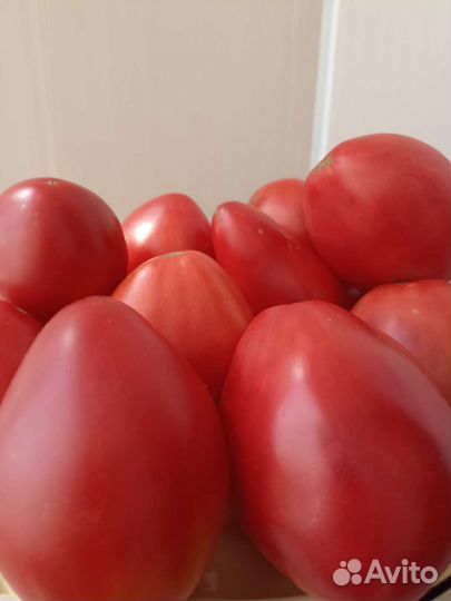 Помидоры, огурцы, кабачки домашние свежие вкусные