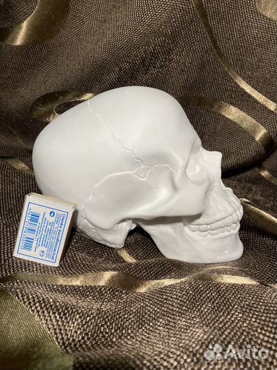 Гипсовый череп