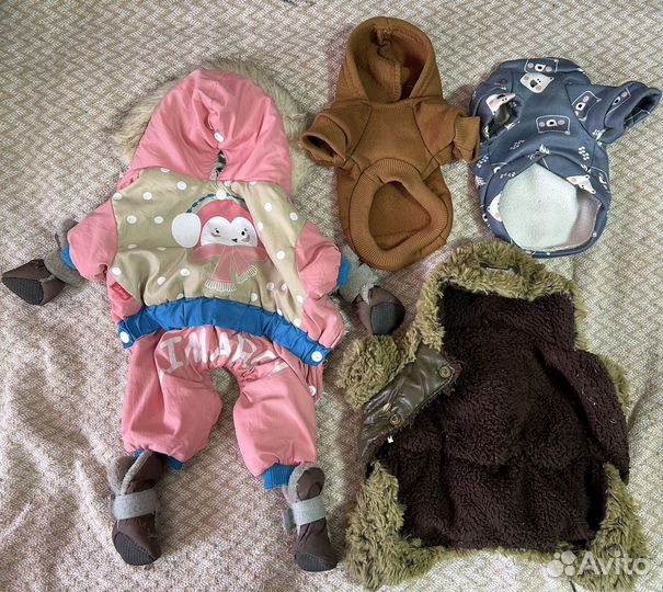 Одежда для животных