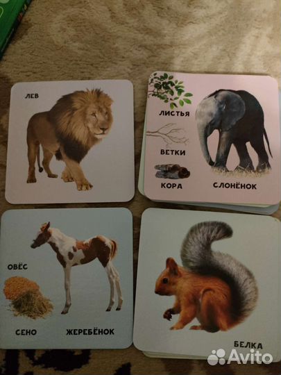 Развивающие карточки